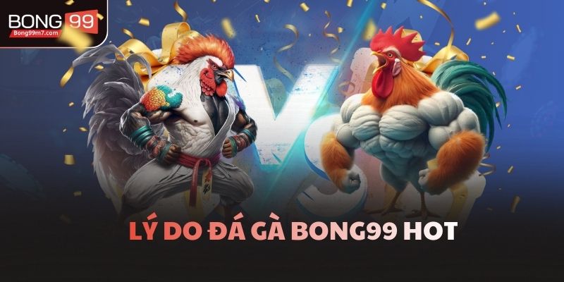 Lý do đá gà Bong99 hot